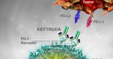 MSD's immunotherapy Keytruda gets green signal from US for skin cancer