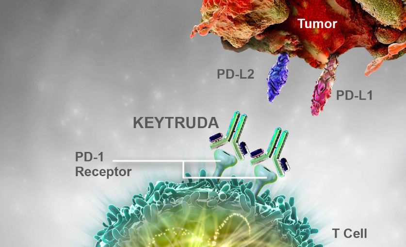 MSD's immunotherapy Keytruda gets green signal from US for skin cancer