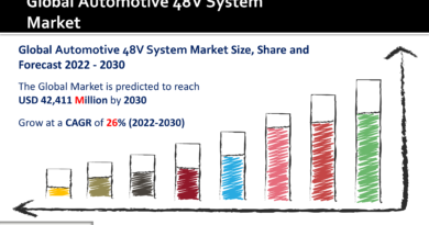 Automotive 48V System Market