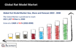 Rat Model Market