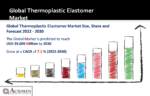 Thermoplastic Elastomer Market