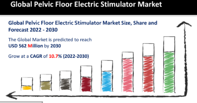 Pelvic Floor Electric Stimulator Market