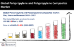 Polypropylene and Polypropylene Composites Market