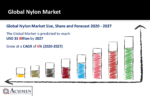 Nylon Market