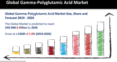 Gamma-Polyglutamic Acid Market