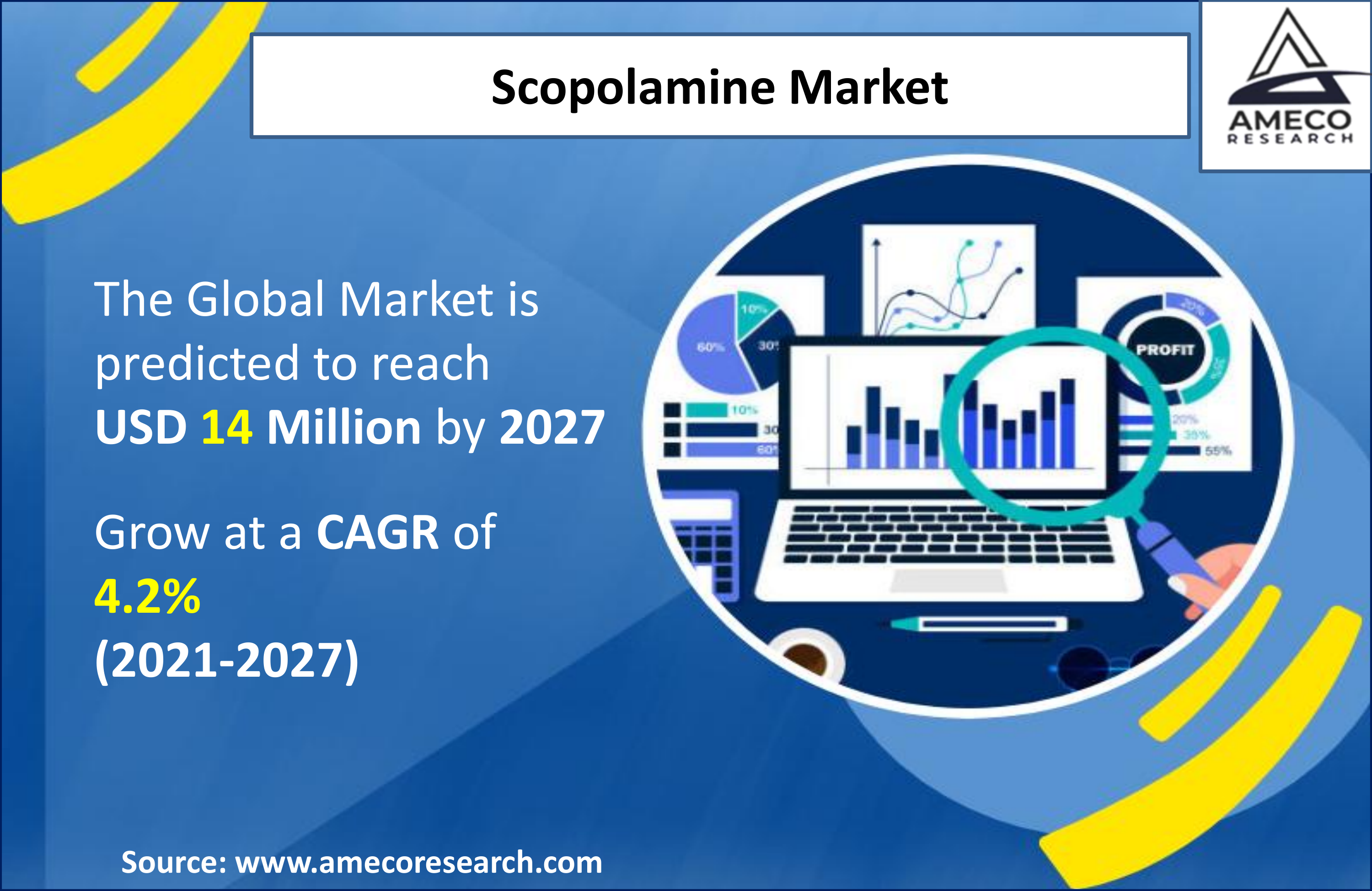 Scopolamine Market