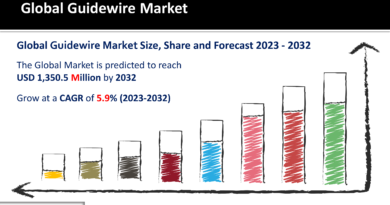 Guidewire Market