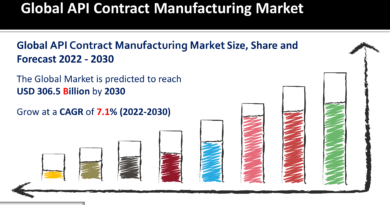 API Contract Manufacturing Market