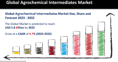 1 Agrochemical Intermediates Market