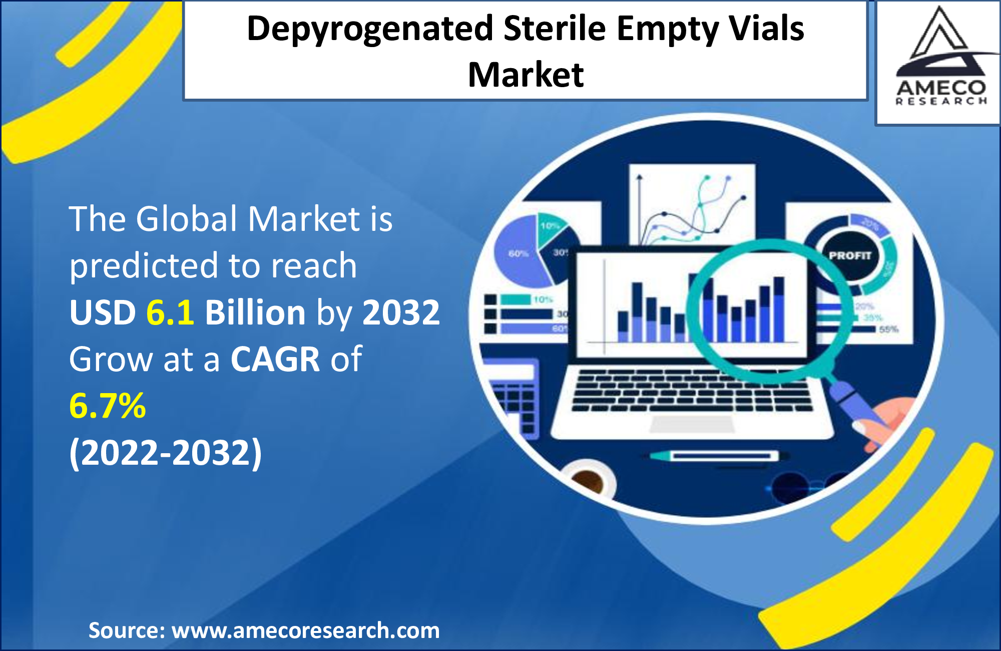 Depyrogenated Sterile Empty Vials Market