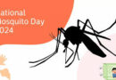 National Dengue Day
